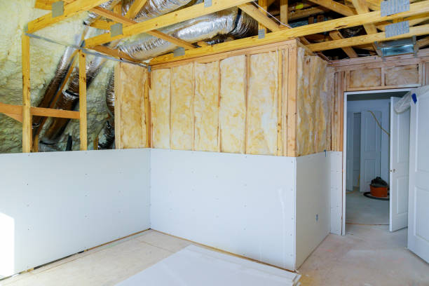 Best Home Insulation Services  in Castle Rock, CO