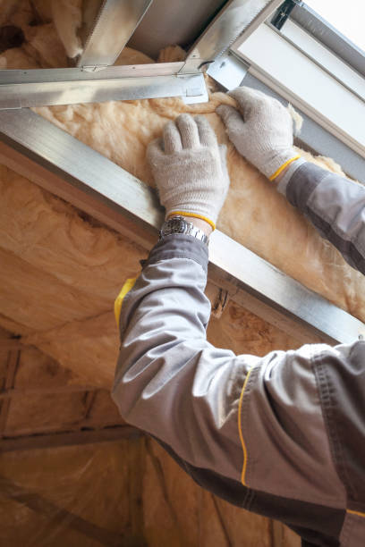 Best Insulation Repair Services  in Castle Rock, CO