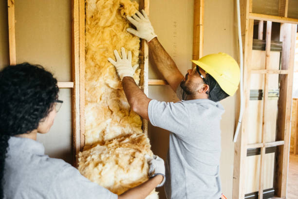 Best Cellulose Insulation  in Castle Rock, CO