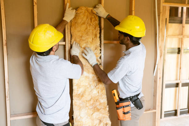 Best Spray Foam Insulation  in Castle Rock, CO