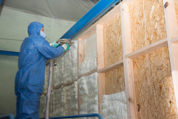 Best Professional Insulation Contractor  in Castle Rock, CO